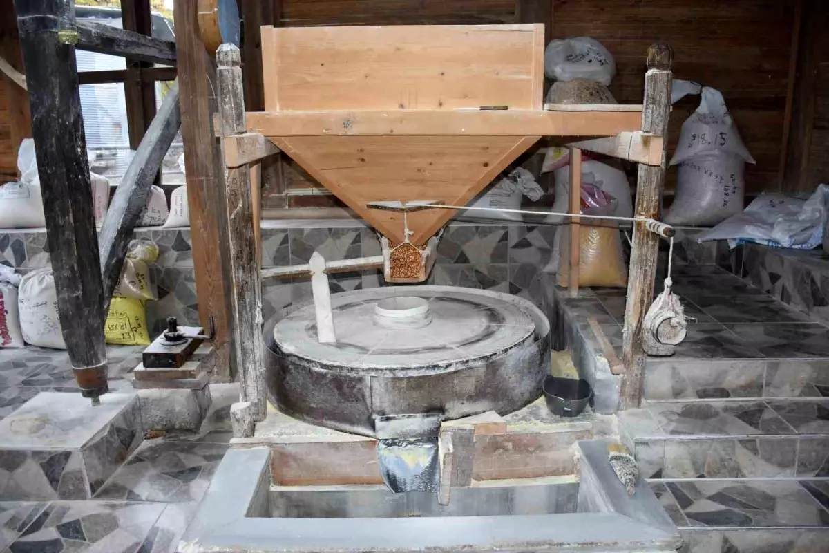 Sakarya’nın 300 Yıllık Su Değirmeni Geleneksel Yöntemlerle Faaliyet Gösteriyor