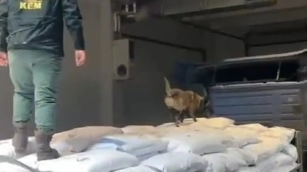 25 kişilik narkotik ekibinin 15 saatlik azmi! 25 ton nişasta arasından 30 milyon liralık eroin çıktı